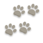 Tracks icon